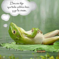 /album/para-vos/dios-me-dijo-todo-saldra-bien-jpg/